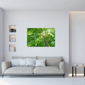 Tablou - Lunca (90x60 cm)