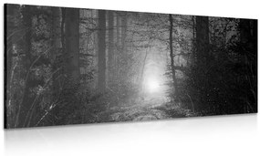 Tablou lumina în pădure în design alb-negru