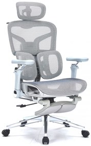 Scaun ergonomic premium DeluxStar T9 – cotiere 6D ultra moi, suport lombar adaptiv, spătar reglabil pe inaltime, tetiera 4D, mecanism multifunctional inclinare/blocare, pivotant, Mesh, Gri