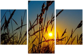 Tablou - Apus de soare pe pajiște (90x60 cm)