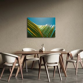 Tablou - Frunze de palmier (70x50 cm)