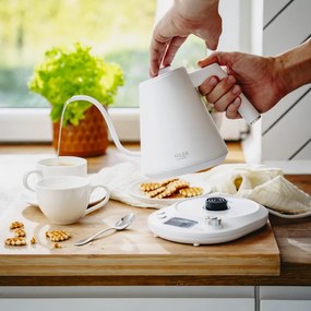 Cana electrica Adler AD 1349W, 1100W, 1 l, 40-100°C, mentinere caldura, Afisaj LED, Alb