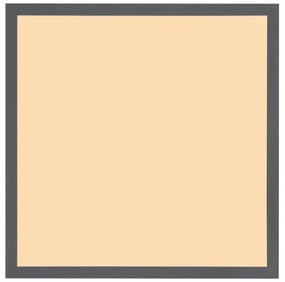 Plafonieră LED DORO LED/24W/230V Globo 416080WD2