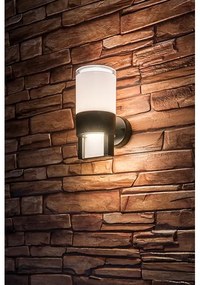 Aplică LED de exterior Rabalux 77130 LEITHA LED/12W/230V IP44