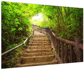 Tablou - Scări în natură (90x60 cm)