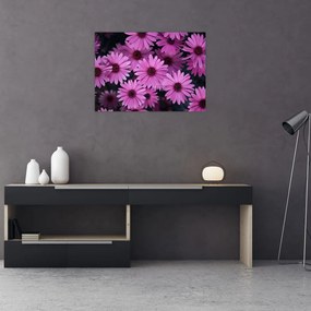 Tablou pe sticlă cu florile roz (70x50 cm)