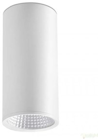 Plafonier, spot alb cu iluminat LED, REL-P 64198