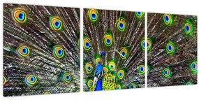 Tablou - Păun (cu ceas) (90x30 cm)