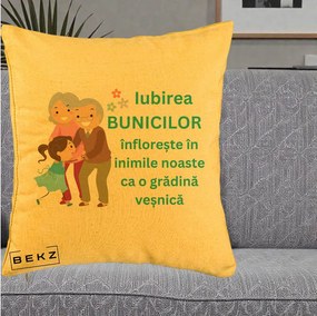 Cadou pentru Bunici - Perna Personalizata Bunicii Iubirea Infloreste cu Nepoata Teal, 40x40 cm, Galben, Husa Detasabila, Perna Inclusa, BEKZ®