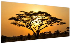 Tablou - Savana africană (120x50 cm)