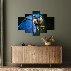Tablou cu papagal (150x105 cm)