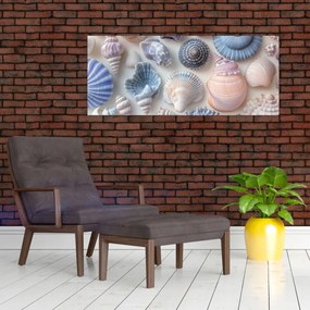 Tablou - Colecție de scoici (120x50 cm)
