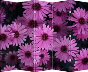 Paravan - Florile roz (210x170 cm)