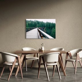 Tablou - Pod spre vârfurile copacilor (90x60 cm)