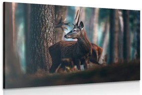 Tablou cerbul în pădure de pini