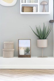 Plantă artificială de Aloe vera Ariaveta (verde). Promo -17%. 1146494