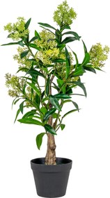 Copac Stalina (verde). Promo -15%. 1147558