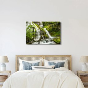Tablou - Cascada, Wind River Valley (90x60 cm)