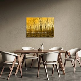 Tablou pe sticlă - Palntație cu pomi (70x50 cm)