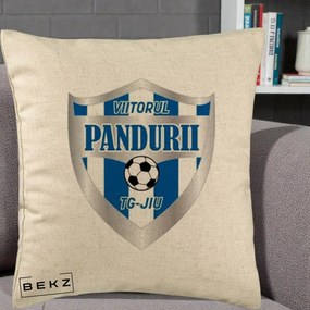 Perna Personalizata Pandurii Targu Jiu Fotbal, 40x40 cm, Bej, Husa Detasabila, Perna Inclusa, BEKZ®