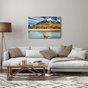 Tablou - Parcul Național Torres del Paine (90x60 cm)