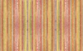 Fototapet - Textura - Scăndura colorată (152,5x104 cm)
