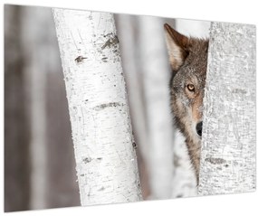 Tablou - Lup (90x60 cm)