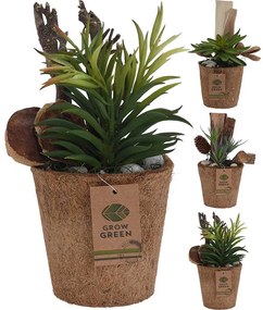 Planta decor 13x12 cm