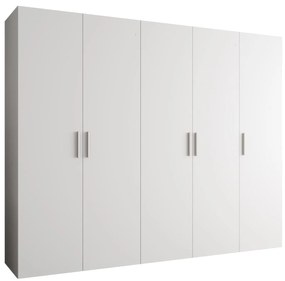Dulap de haine 250 cm Borry 1 (alb + Argintiu). 1125781