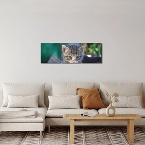Tablou cu pisicuțe (cu ceas) (90x30 cm)