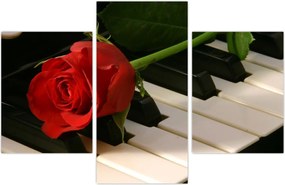 Tablou - Pian și trandafiri (90x60 cm)