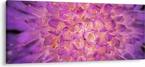 Tablou detailat cu floare (120x50 cm)