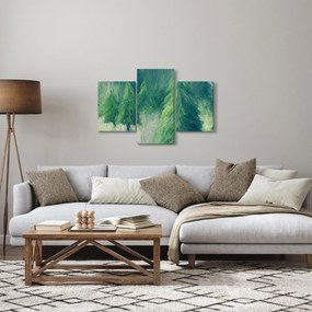 Tablou - Conifere pictate (90x60 cm)