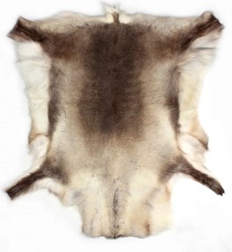 Covor din piele de ren Reindeer Skin Norway 120cm
