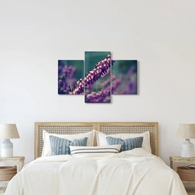 Tablou cu floare violetă (90x60 cm)