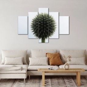 Tablou - Sfere de flori (150x105 cm)