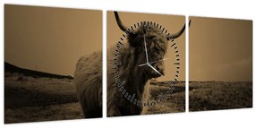 Tablou - Vacă scoțiană pe fugă (cu ceas) (90x30 cm)