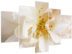 Tablou - Floare (150x105 cm)