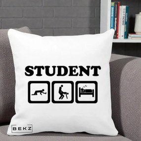 Perna Decorativa Student Life, 40x40 cm, Alba Mata, Husa Detasabila, Perna Inclusa, BEKZ®