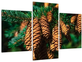 Tablou cu con de brad (90x60 cm)