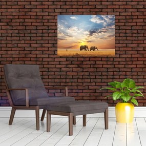 Tablou - Elefanți rătăcind în savană (70x50 cm)