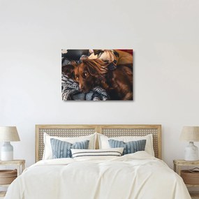 Tablou pe sticlă cu câini dormind (70x50 cm)