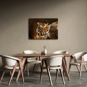 Tablou cu tigrul (70x50 cm)