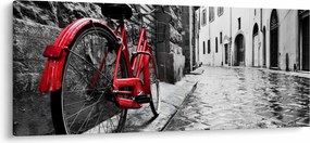 Tablou - Bicicleta roșie pe o stradă pavată (120x50 cm)