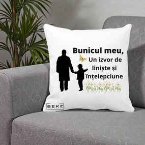 Cadou pentru Bunic - Perna Personalizata Bunicul Meu Izvor de Liniste cu Fluture si Baietel, 40x40 cm, Alba Mata, Husa Detasabila, Perna Inclusa, BEKZ®