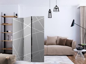Paravan - Modern Cobweb [Room Dividers]