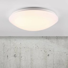 Plafoniera LED pentru baie Ask 41 45396001 NL