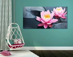Tablou floare de lotus pe lac