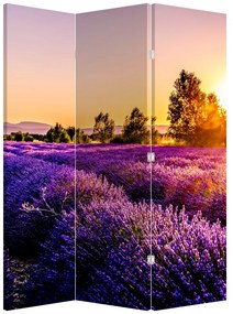 Paravan - Câmp de lavanda (126x170 cm)