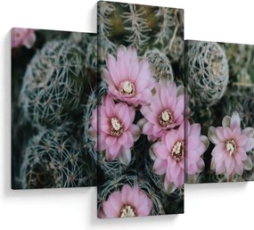 Tablou floare de cactus (90x60 cm)